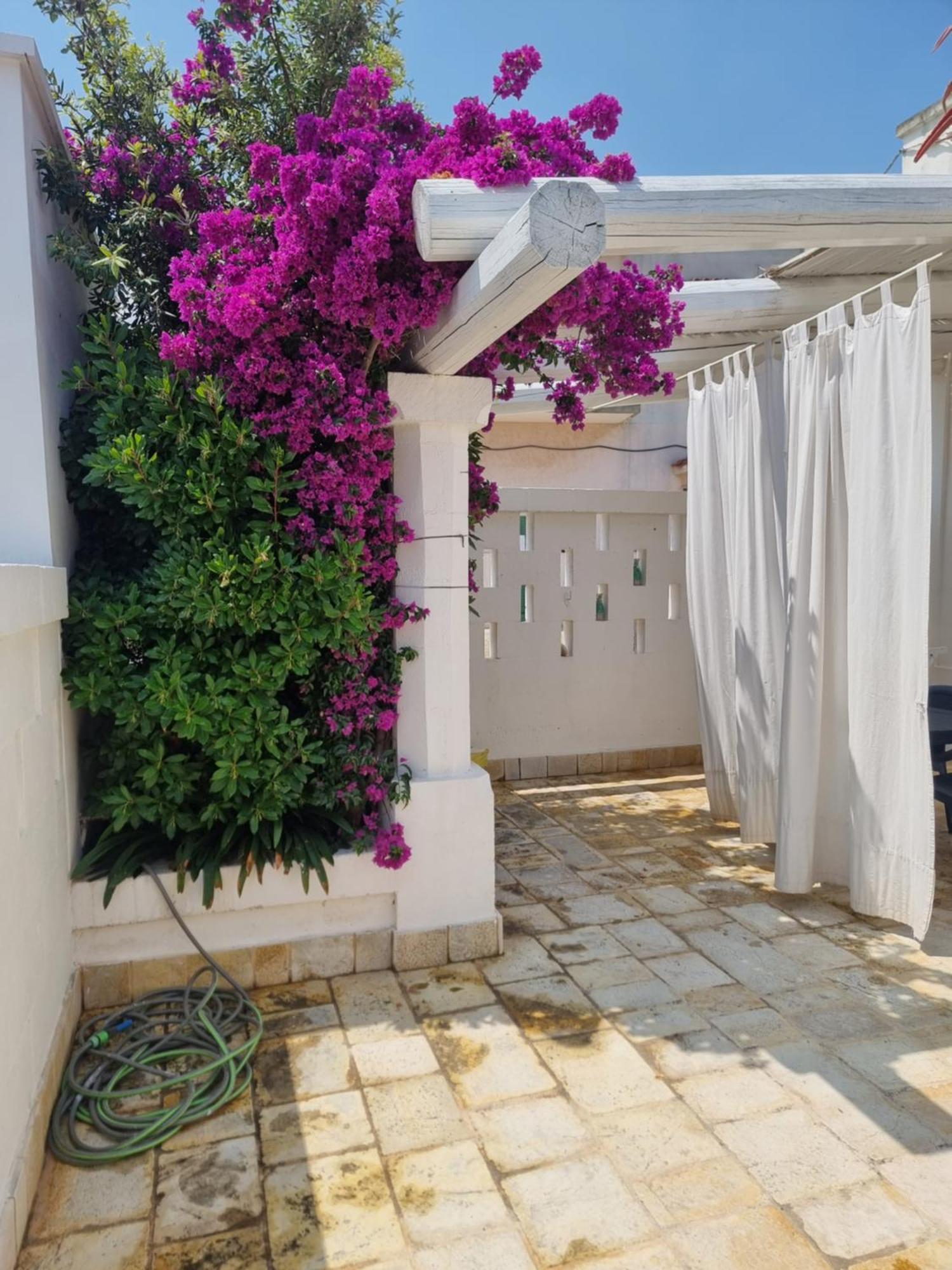 Villini Di Sant'Andreas Apartment Monopoli Bagian luar foto